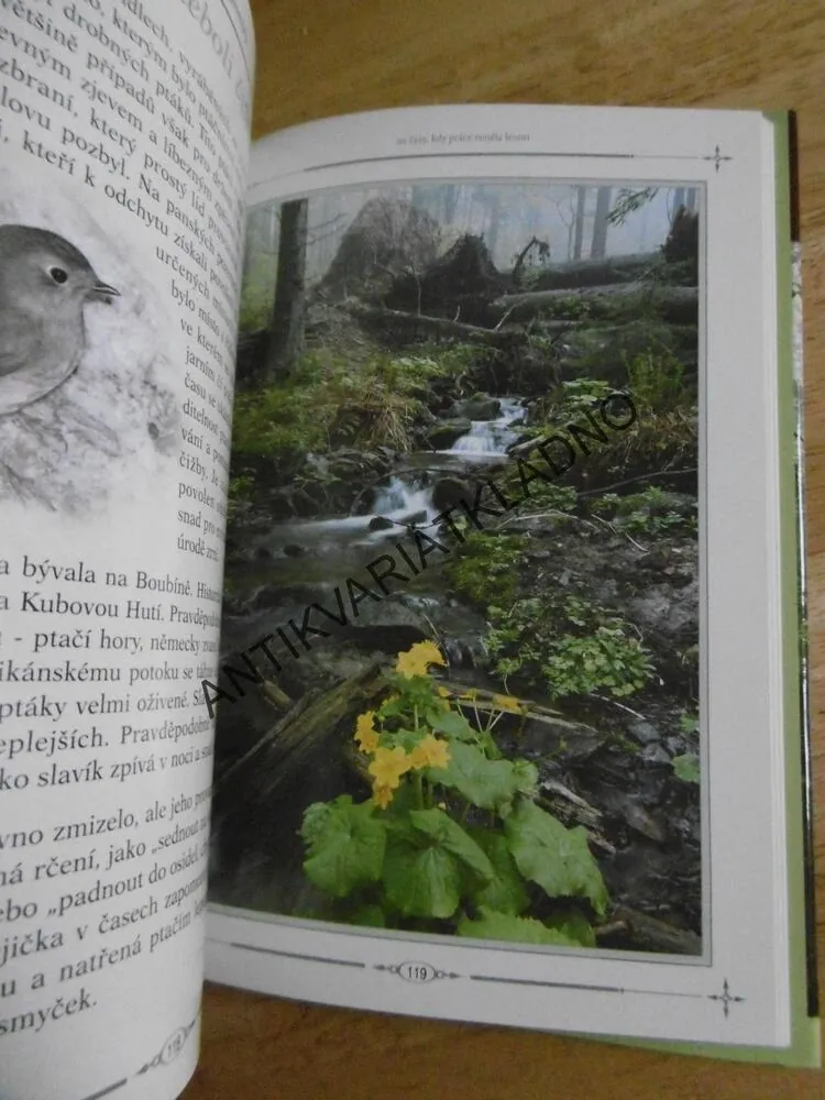 ŠUMAVSKÉ VZPOMÍNKY NA ČASY. KDY PRÁCE VONĚLA LESEM, LESNICTVÍ,DŘEVAŘSTVÍ, ŠUMAVA