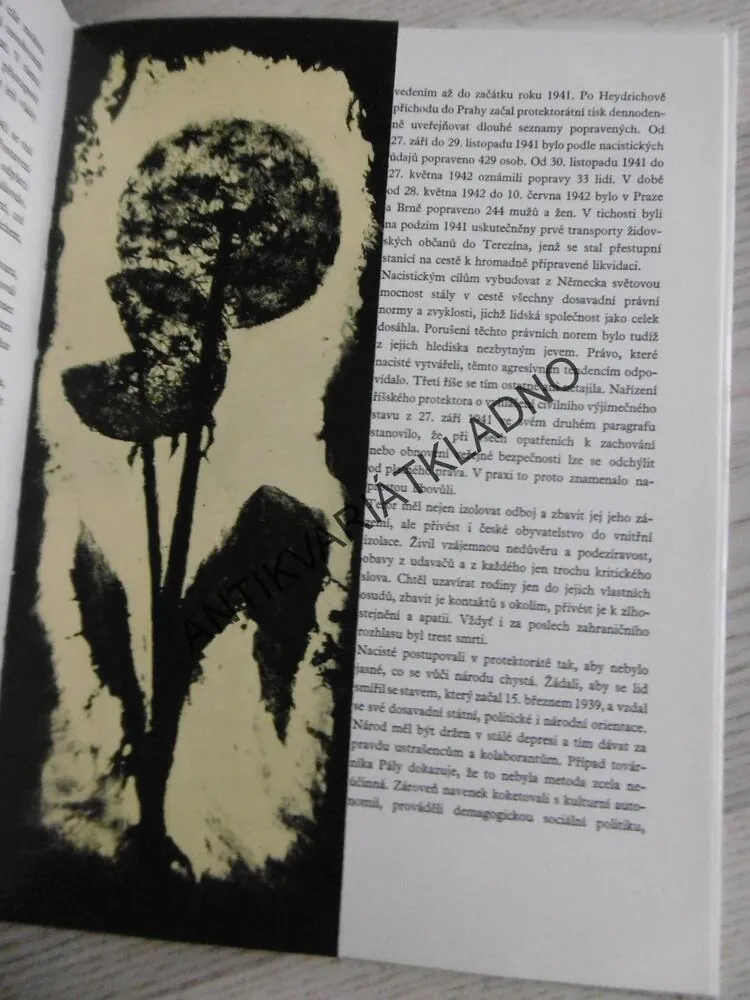 LIDICE ŽIJÍ, **an