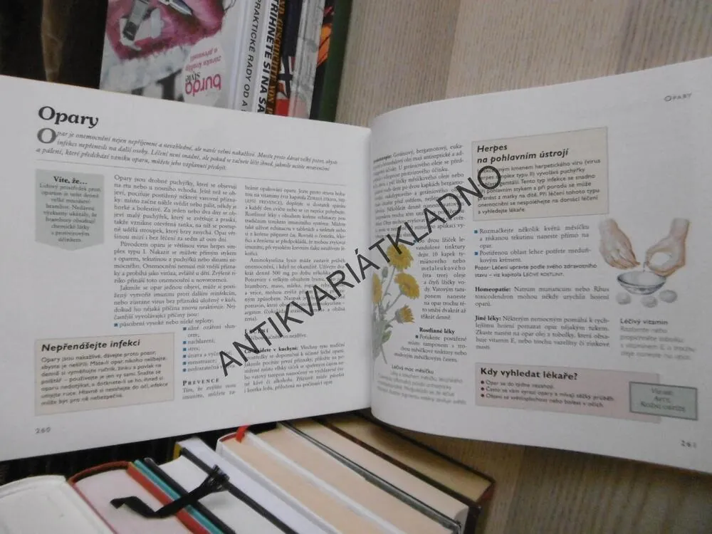 LÉČÍME SE S PŘÍRODOU, KOLEKTIV AUTORŮ, **an