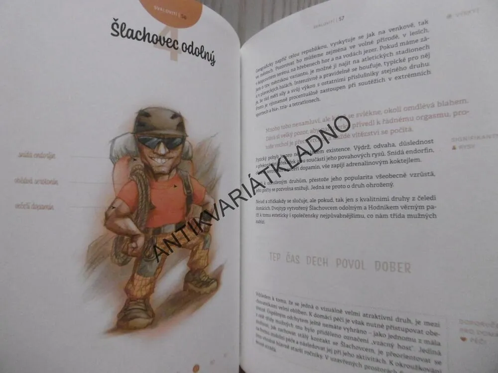 EXPERIMENTÁLNÍ ATLAS MUŽŮ, SYLVA LAUEROVÁ, **an