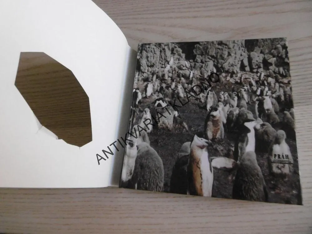 ANTARKTIDA NA PRAHU KONCE, MARTIN VOPĚNKA, **an