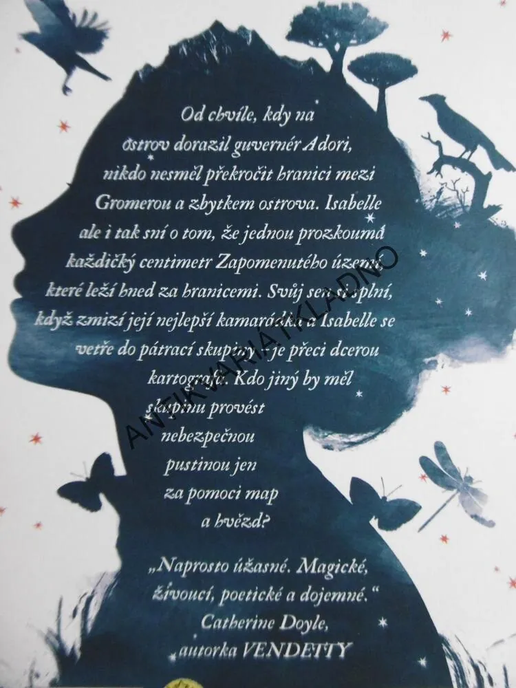 DÍVKA Z INKOUSTU A HVĚZD, KIRAN MILLWOOD HARGRAVE, **an