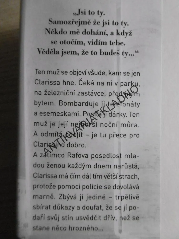 DENÍK MÉHO STÍNU, CLAIRE KENDALOVÁ, **an