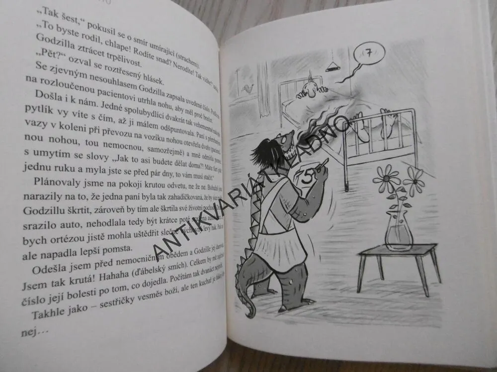 ŽENA NA TAHU, ZUZANA HUBEŇÁKOVÁ, **an