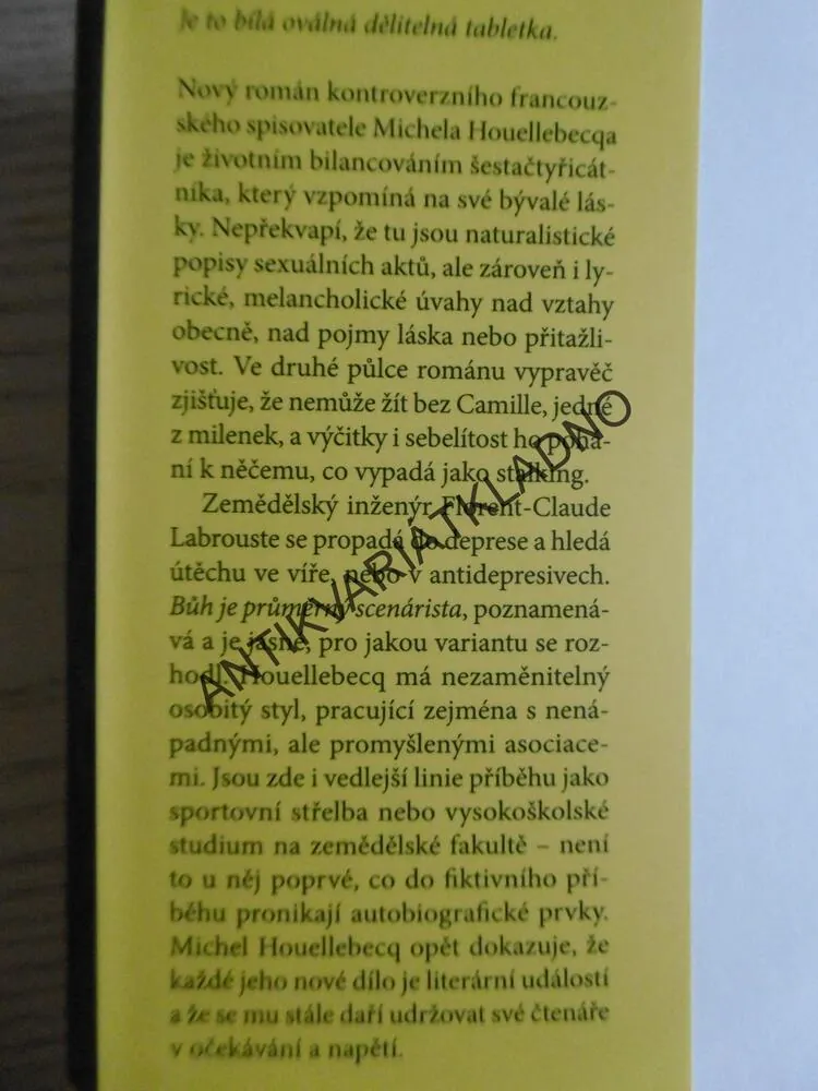 SEROTONIN, MICHEL HOUELLEBECQ, **an