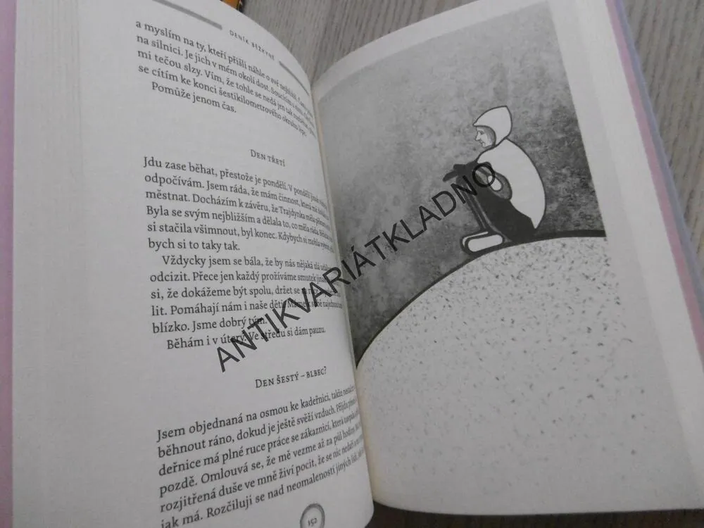 DENÍK BĚŽKYNĚ V NEJLEPŠÍCH LETECH, ZUZANA SOUČKOVÁ, **an