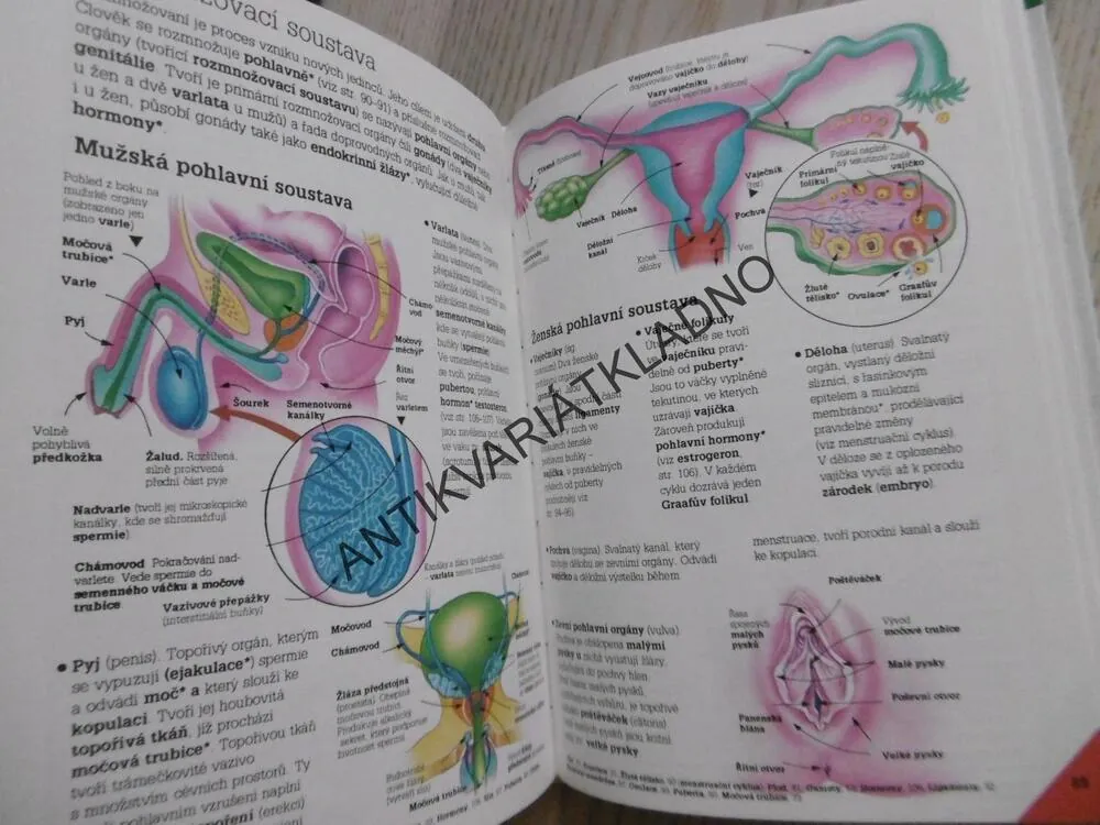 ILUSTROVANÝ PŘEHLED BIOLOGIE, CORINNE STOCKLEY, **an