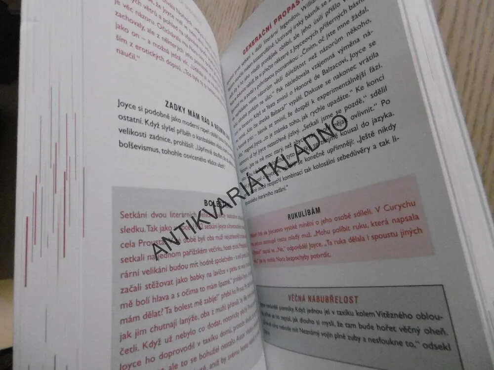 TAJNÉ ŽIVOTY SLAVNÝCH SPISOVATELŮ, ROBERT SCHNAKENBERG, **an