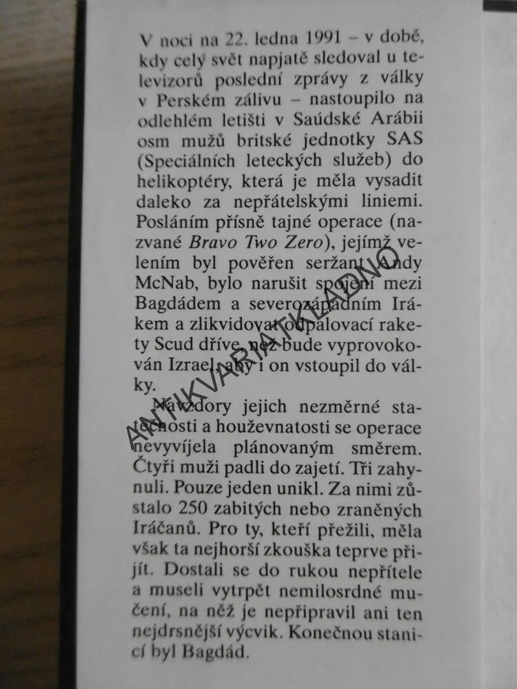 KONEČNÁ STANICE BAGDÁD, ANDY MCNAB, **an