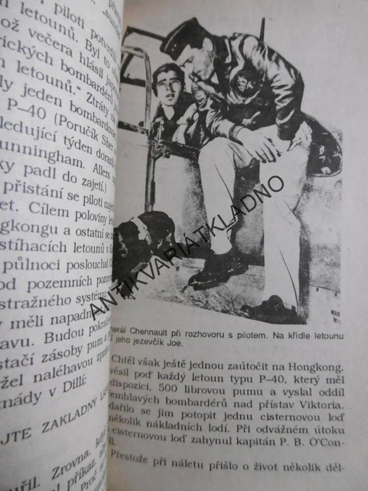 LÉTAJÍCÍ TYGŘI, JOHN TOLAND, **an
