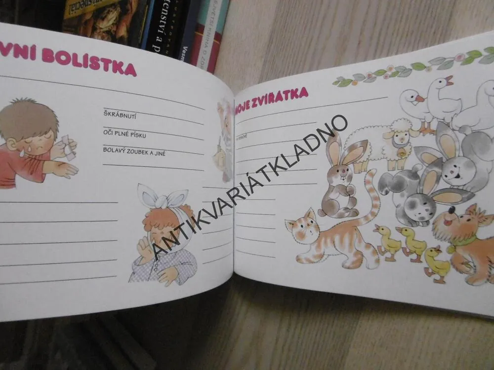 DENÍK NAŠEHO DĚŤÁTKA, NOVÉ, **an