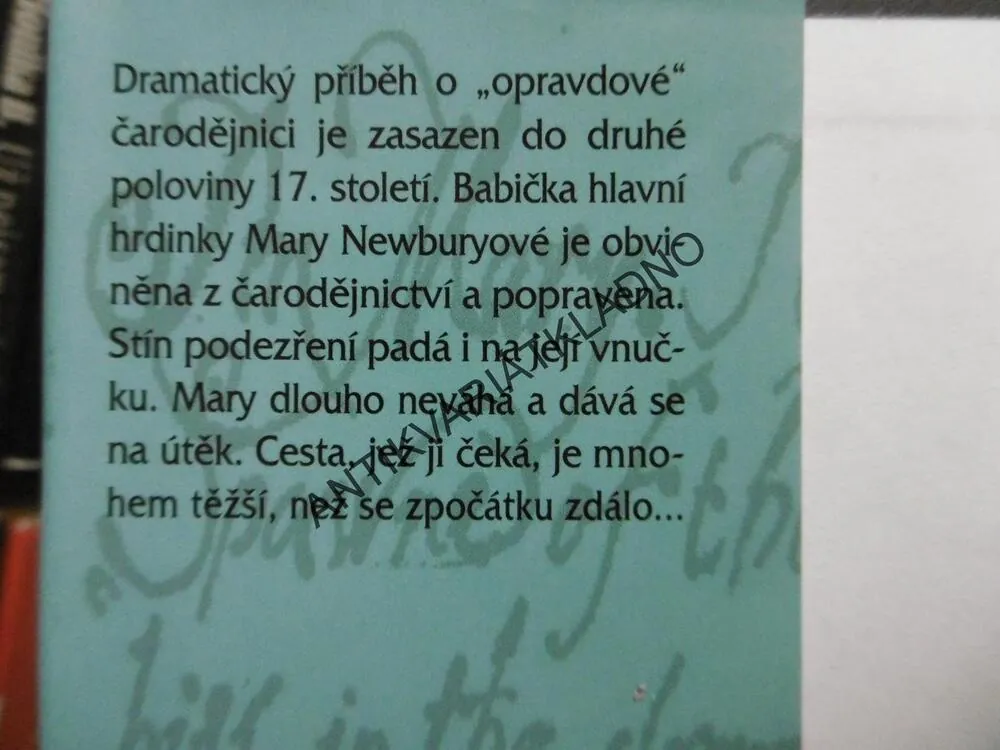 ČARODĚJNICE NA ÚTĚKU, CELIA REESOVÁ, **an