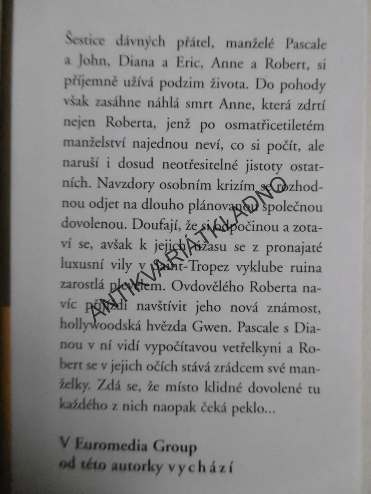 POZDNÍ LÁSKA, DANIELLE STEEL, **an