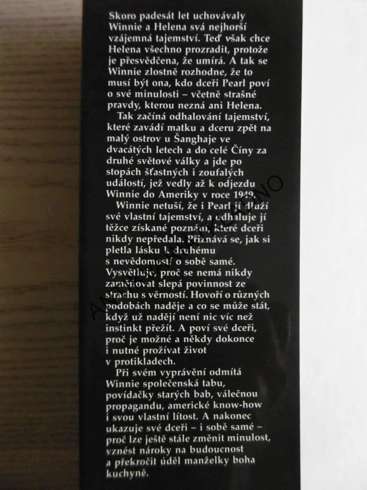 MANŽELKA BOHA KUCHYNĚ, AMY TANOVÁ, **an