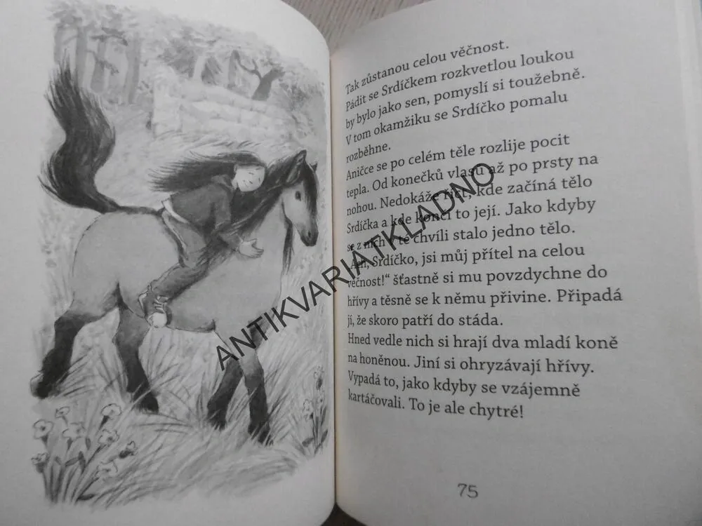 SRDÍČKO, ANIČKA NAJDE PONÍKA, USCH LUHNOVÁ, **an