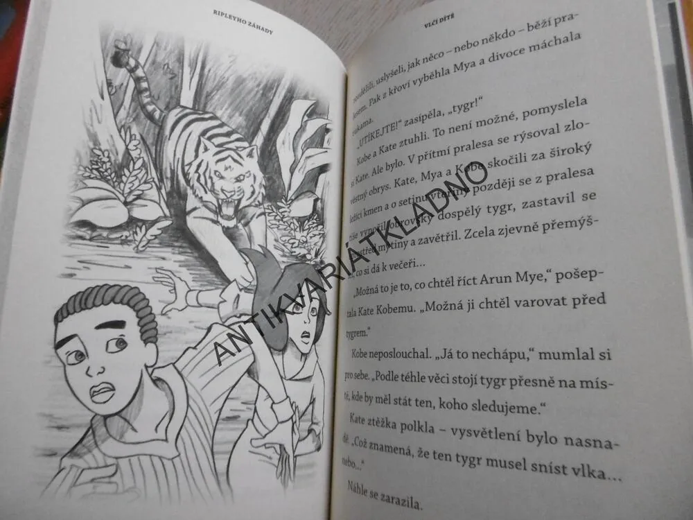 RIPLEYHO ZÁHADY, R-TÝM, VLČÍ DÍTĚ, **an