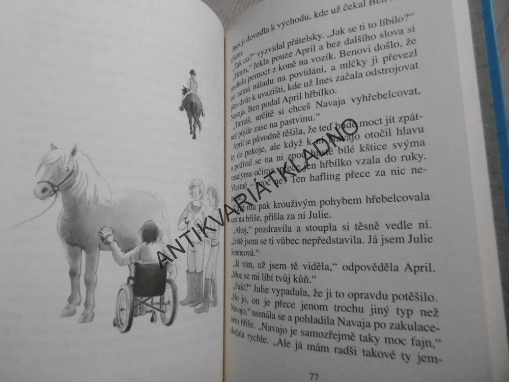 ZPÁTKY V SEDLE, FARMA SONNENHOF, ANDREA WANDEL, **an
