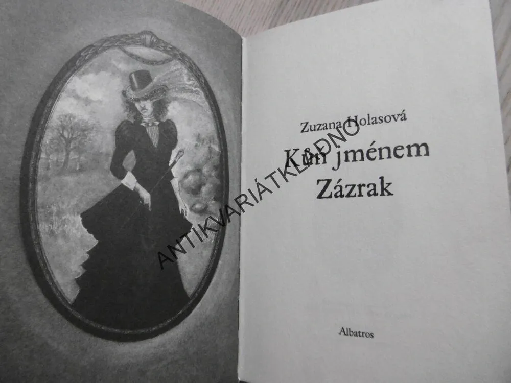KŮŇ JMÉNEM ZÁZRAK, ZUZANA HOLASOVÁ, **an