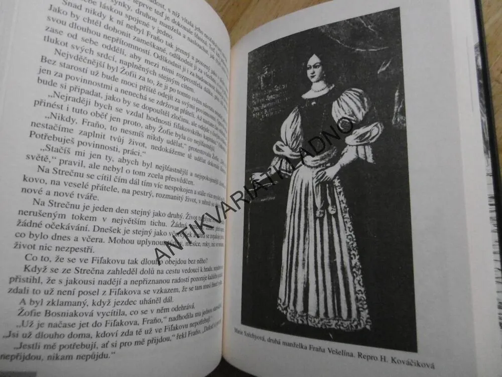 LÁSKY ŽOFIE BOSNIAKOVÉ, JOŽO NIŽNÁNSKÝ, AUTOR ČACHTICKÉ PANÍ
