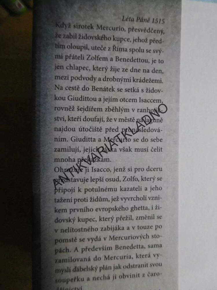 DÍVKA, KTERÁ SE DOTKLA NEBE, LUCA DI FULVIO, BESTSELLER