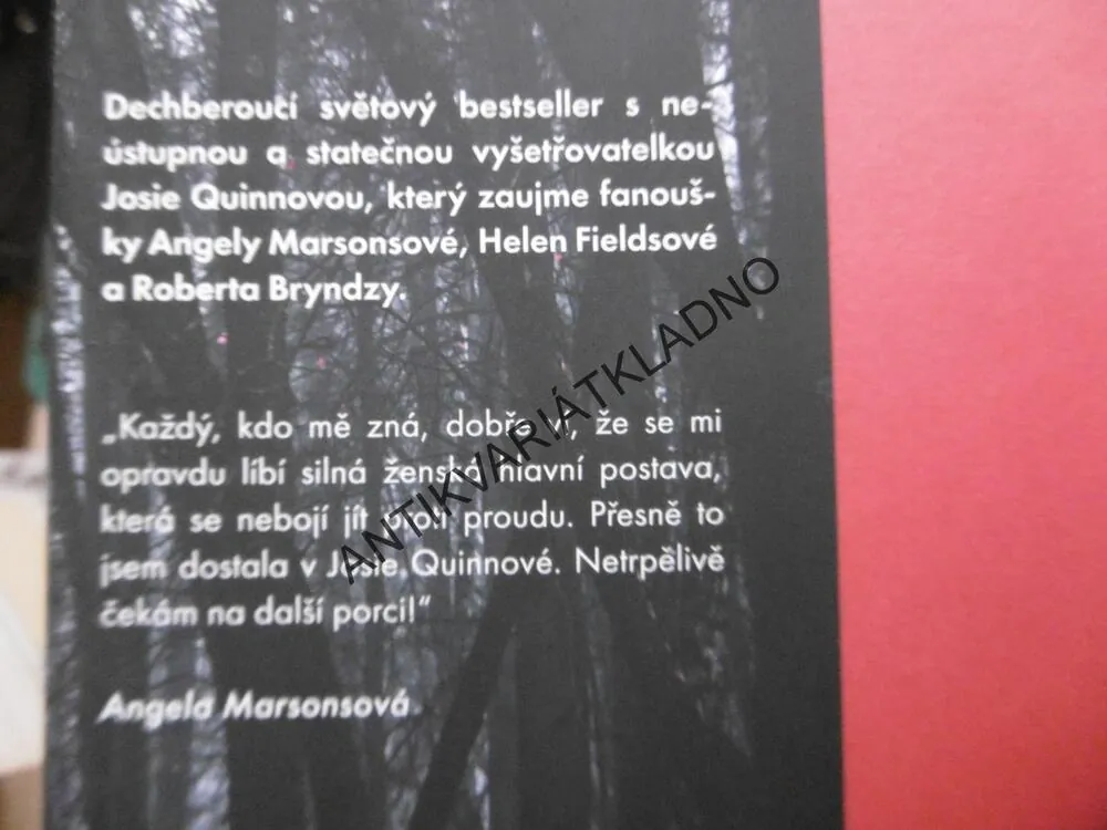 MIZEJÍCÍ DÍVKY, LISA REGANOVÁ, **an