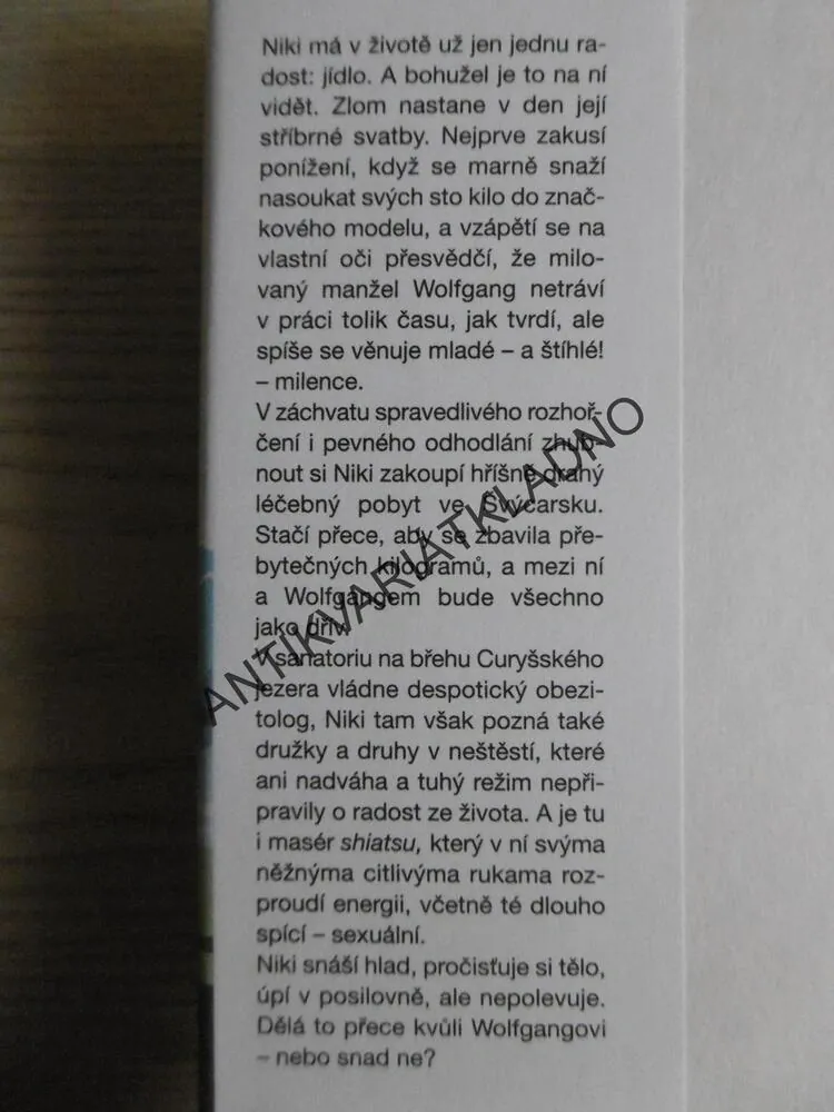 KVŮLI TOBĚ I ZHUBNU, ELLEN BERGOVÁ, **an