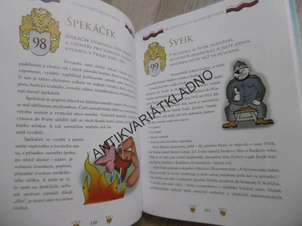 CO MÁ VĚDĚT SPRÁVNÝ ČECH, MICHAL VANĚČEK, VÁCLAV RÁŽ,**an