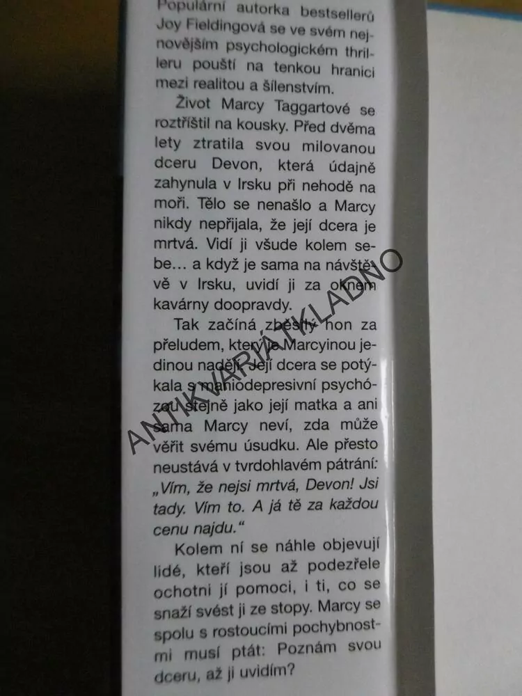 AŽ JI UVIDÍŠ, JOY FIELDINGOVÁ, **an