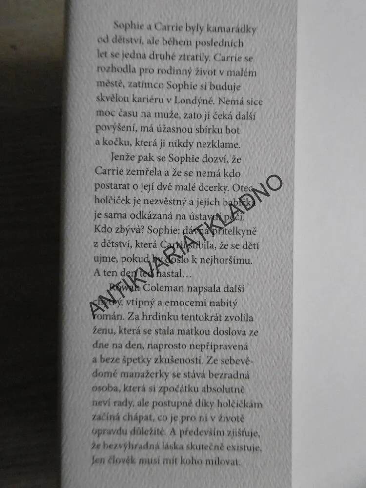 MATKOU ZE DNE NA DEN, ROWAN COLEMAN, **an