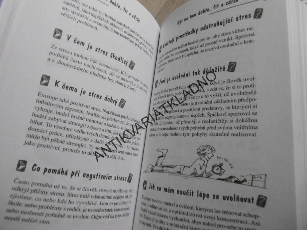 1000 CHLAPECKÝCH OTÁZEK, TIM HÜSCH, **an