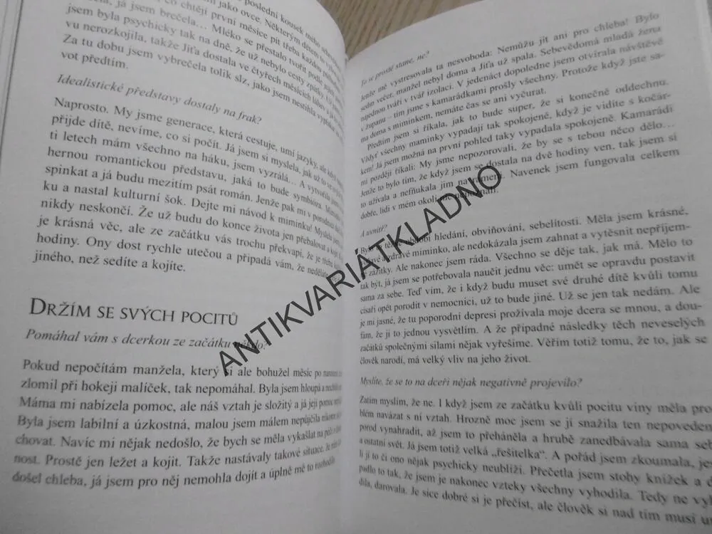 ROZHOVORY O MATKÁCH A MATEŘSTVÍ, LUCIE HÁŠOVÁ TRUHELKOVÁ, **an