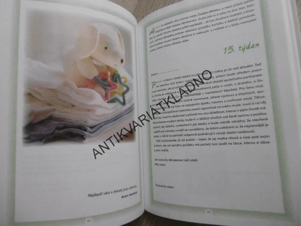 TĚHOTENSKÝ DENÍK, KATEŘINA ORLOVÁ, **an