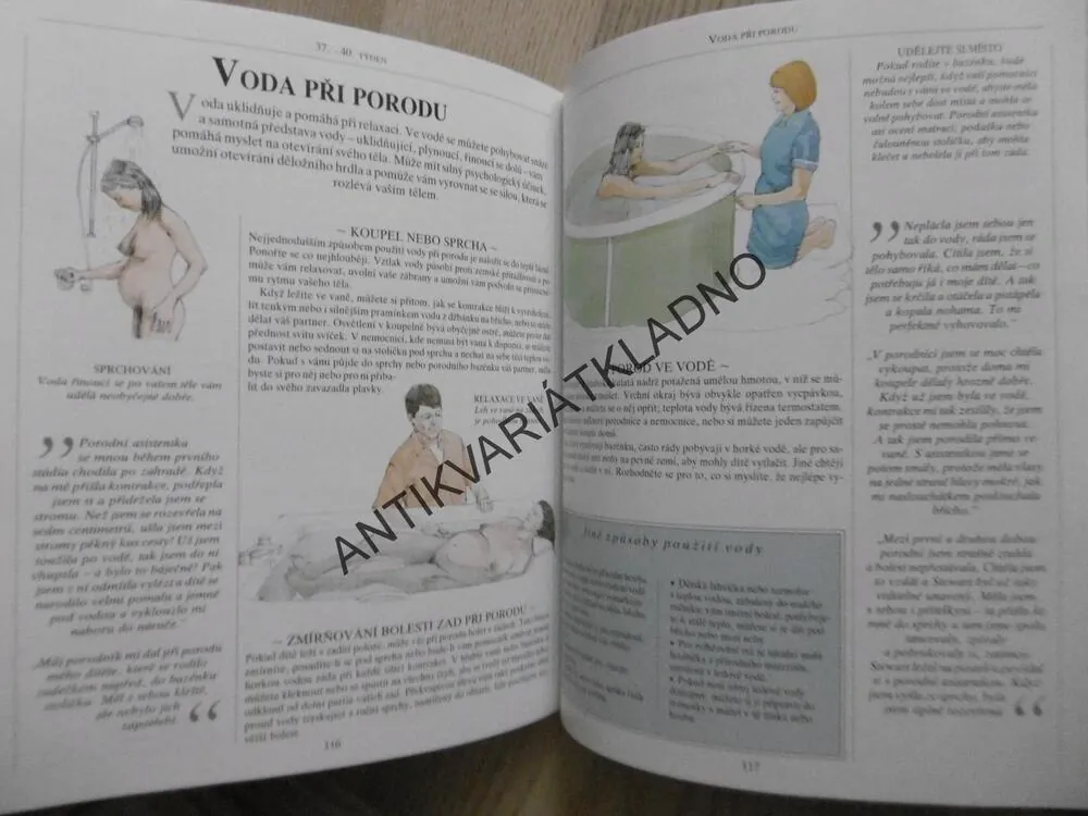 TĚHOTENSTVÍ DEN PO DNI, SHEILA KITZINGEROVÁ, **an