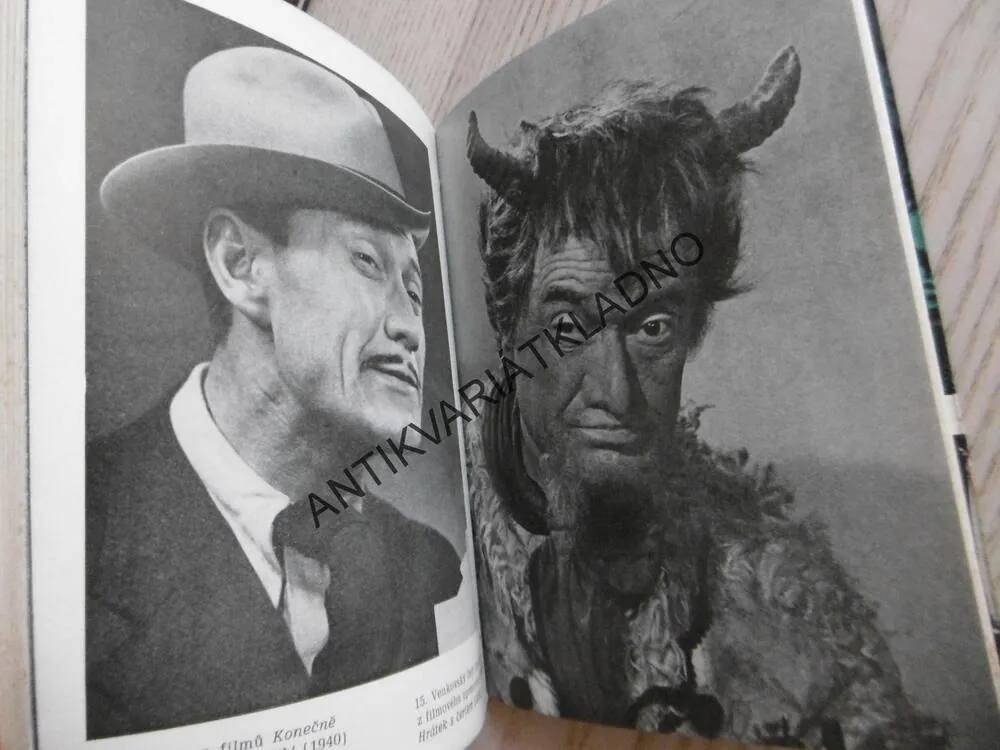 PETR HOŘEC, STANISALAV NEUMANN, **an