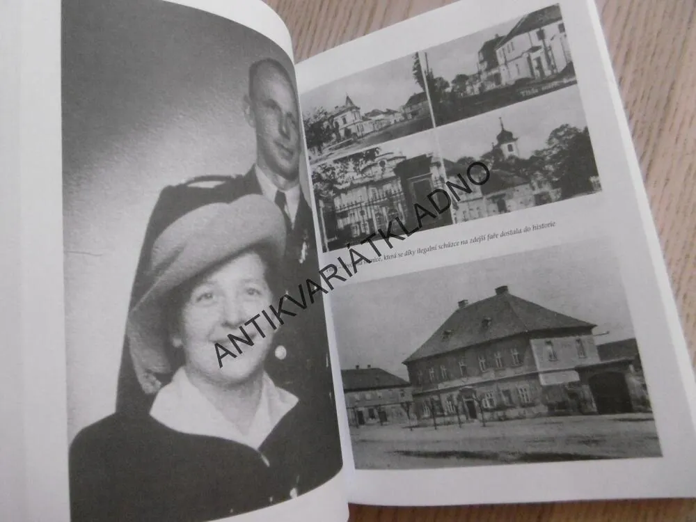 JUSTIČNÍ VRAŽDA ANEB SMRT MILADY HORÁKOVÁ, MIROSLAV IVANOV, **an