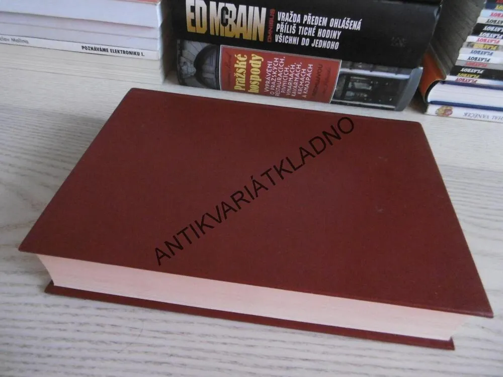 VÝKLADOVÝ SNÁŘ, JITKA ŽIVSOVÁ, **an