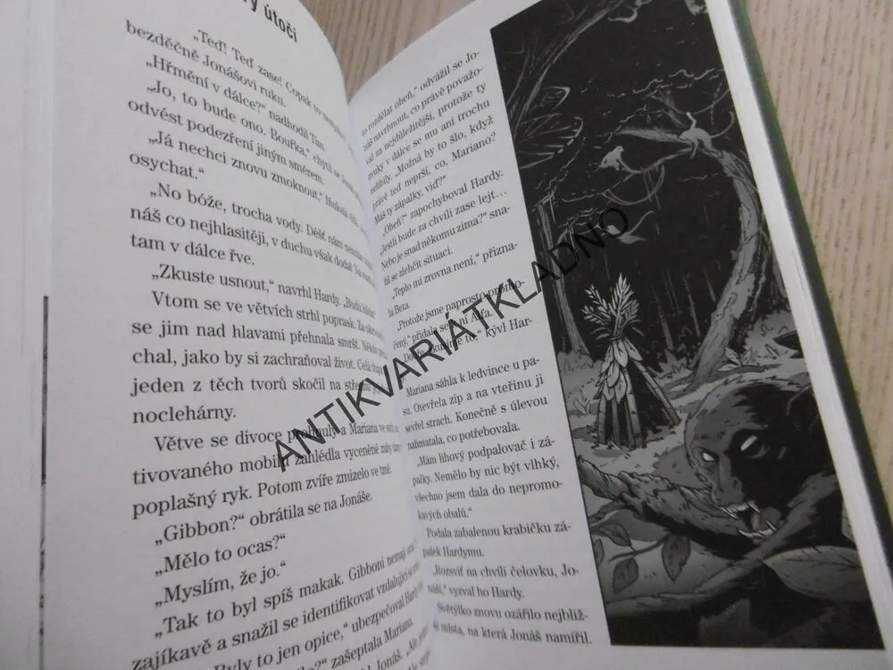 VE SPÁRECH DŽUNGLE, IVONA BŘEZINOVÁ, **an