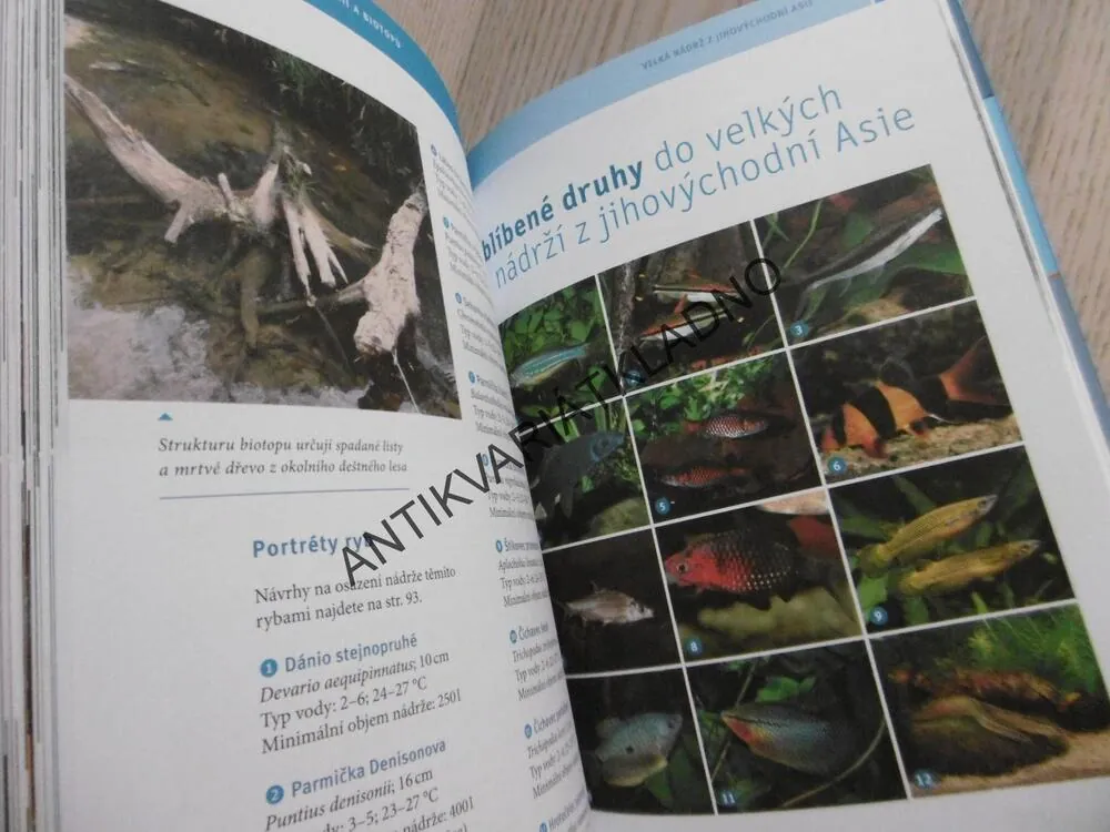 AKVÁRIUM, ULRICH SCHLIEWEN, **an