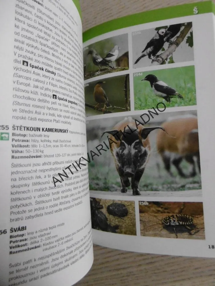 LEXIKON ZVÍŘAT OD A DO Z, ZOO PRAHA, **an