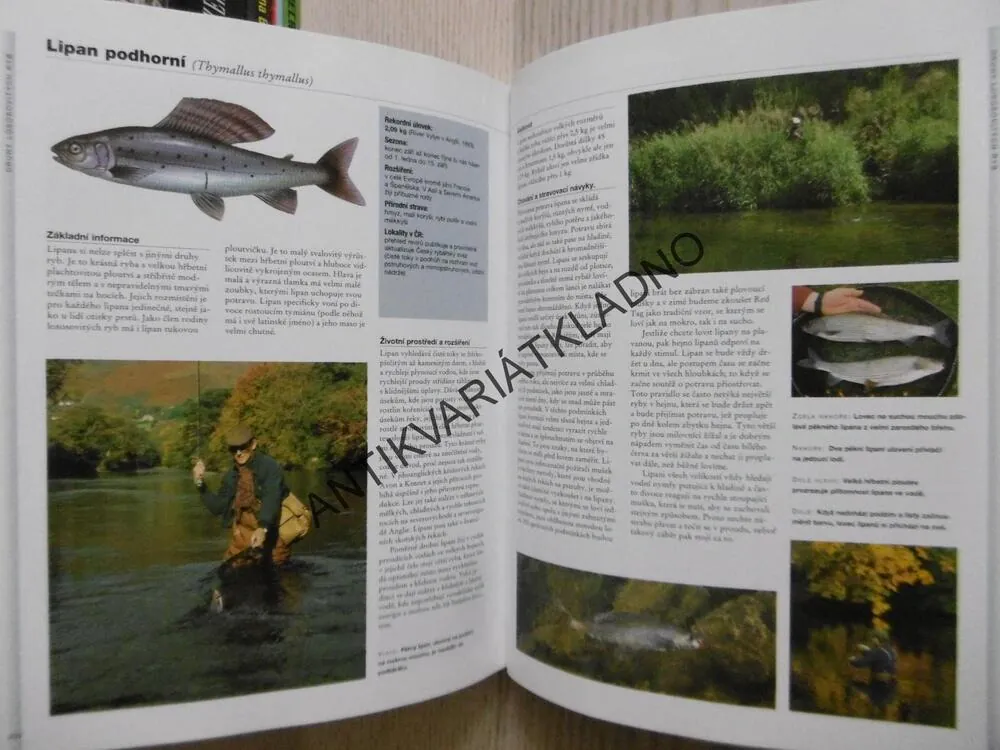 VELKÝ PRŮVODCE RYBÁŘE, TONY MILES, **an