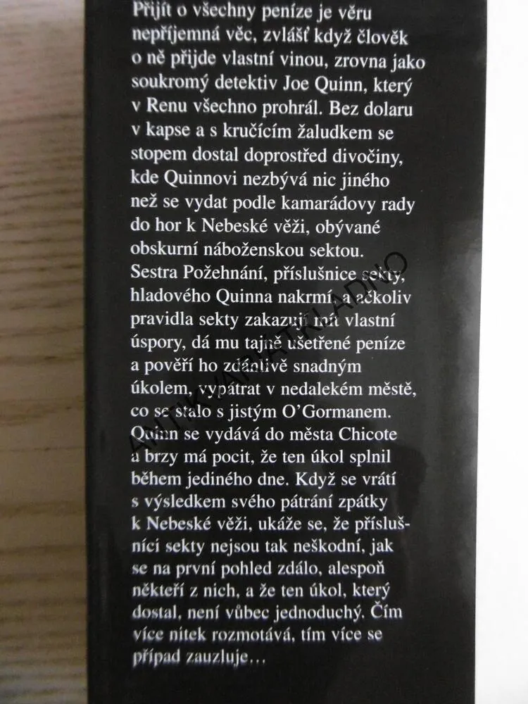 MUŽ, KTERÝ ZMIZEL, MARGARET MILLAROVÁ, **an