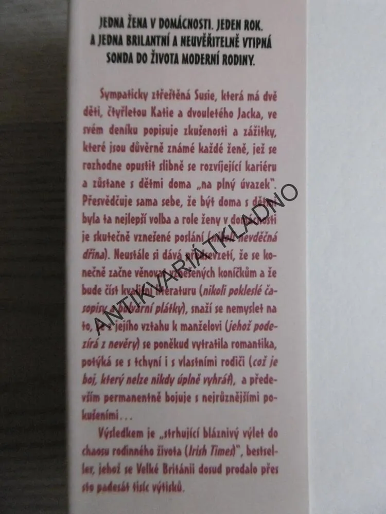 DENÍK MATKY NA POKRAJI ŠÍLENSTVÍ, NIAMH GREENOVÁ, **an