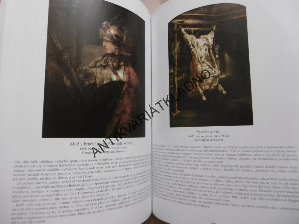 GALERIE MISTRŮ, REMBRANDT, MELISSA RICKETTS URBÁN,, **an