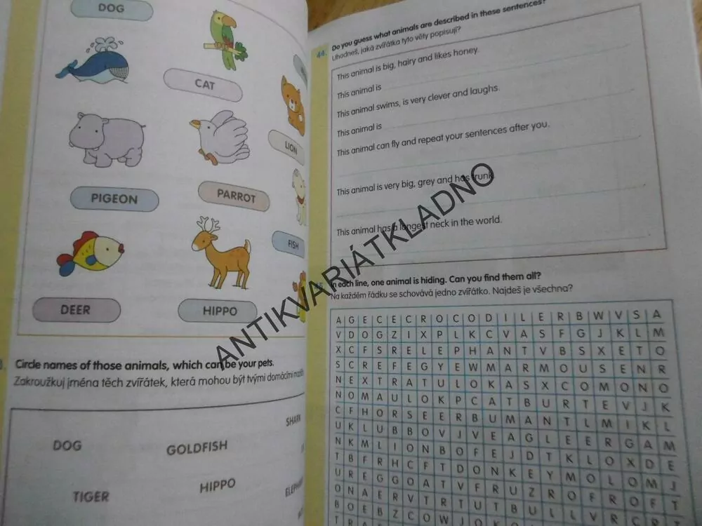 ANGLIČTINA , DOMÁCÍ PRACOVNÍ SEŠIT, BEČKOVÁ,