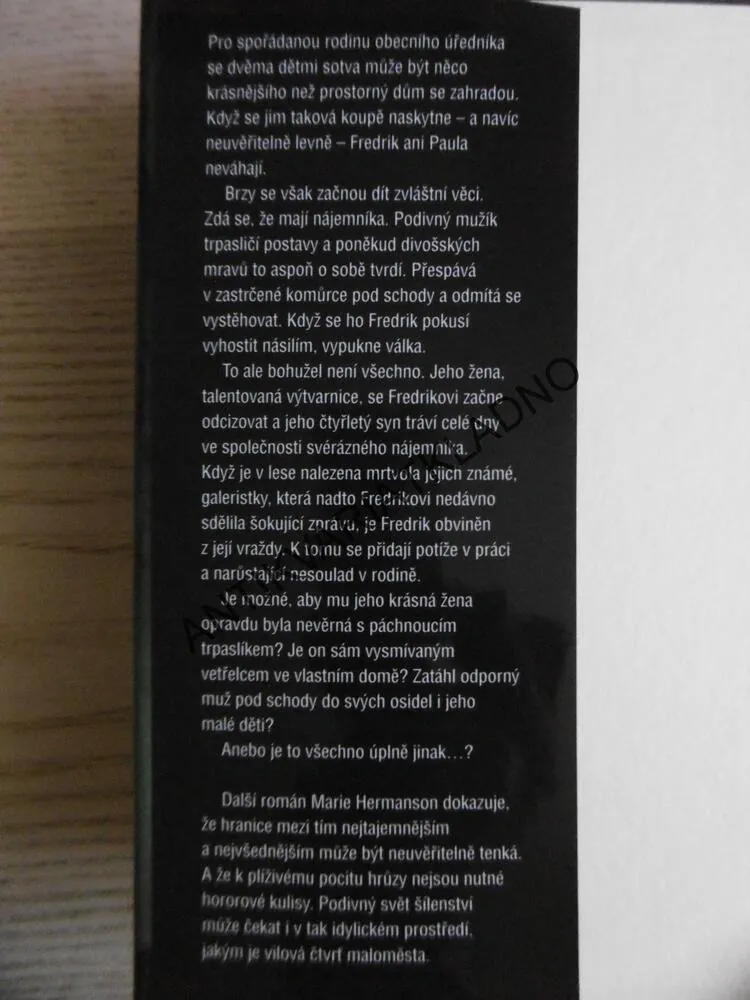 MUŽ POD SCHODY, MARIE HERMANSON, **an
