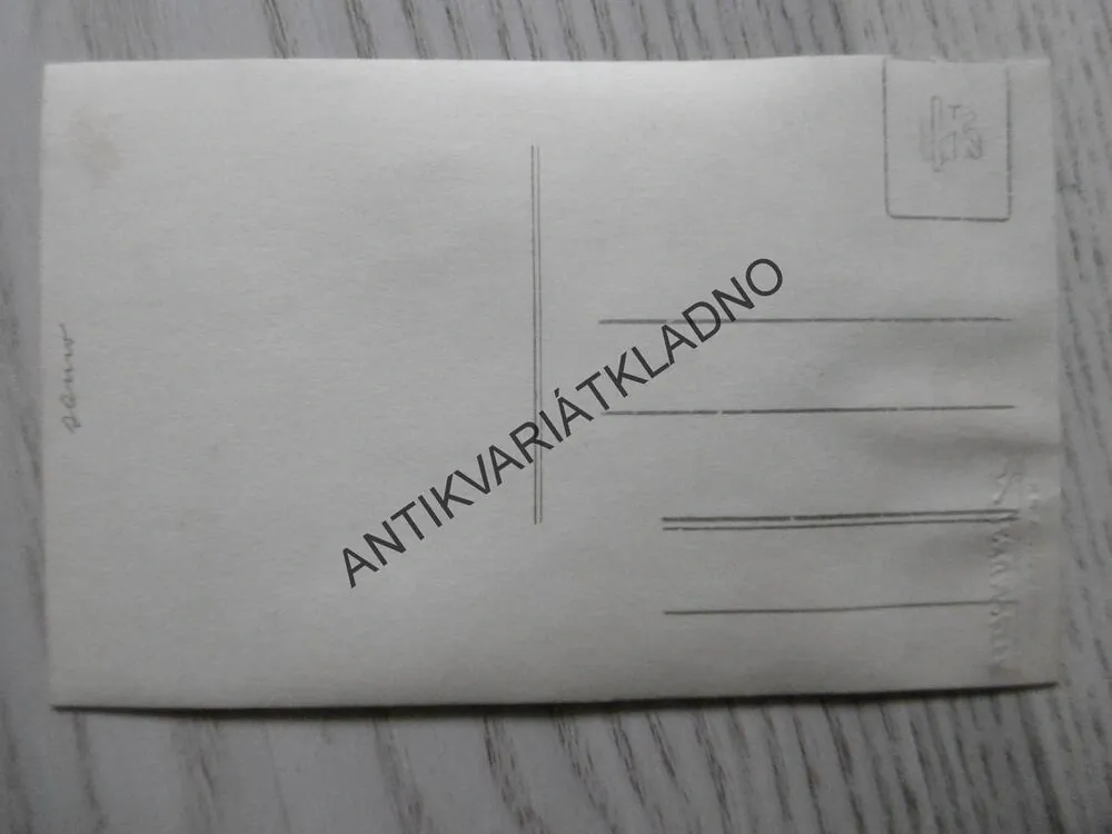 MUŽ A ŽENA V ATELIERU , KVĚTINA, FOTO PRAHA VINOHRADY,POHLEDNICE