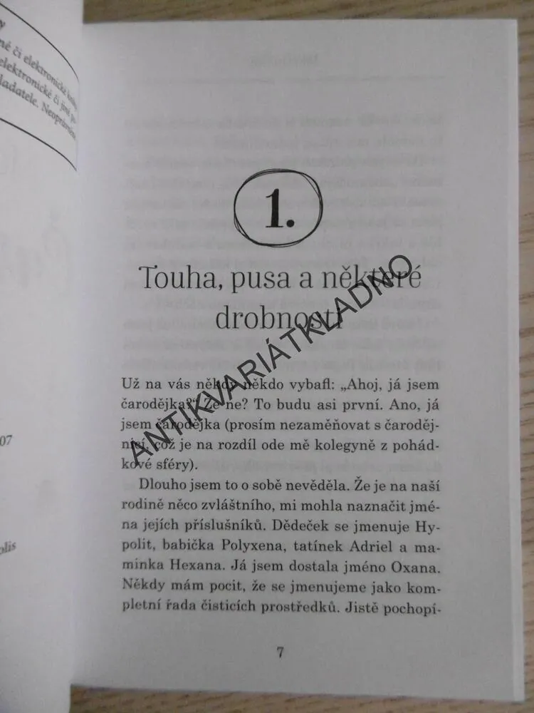 ČARODĚJKA, MARTIN ČÁP, **an