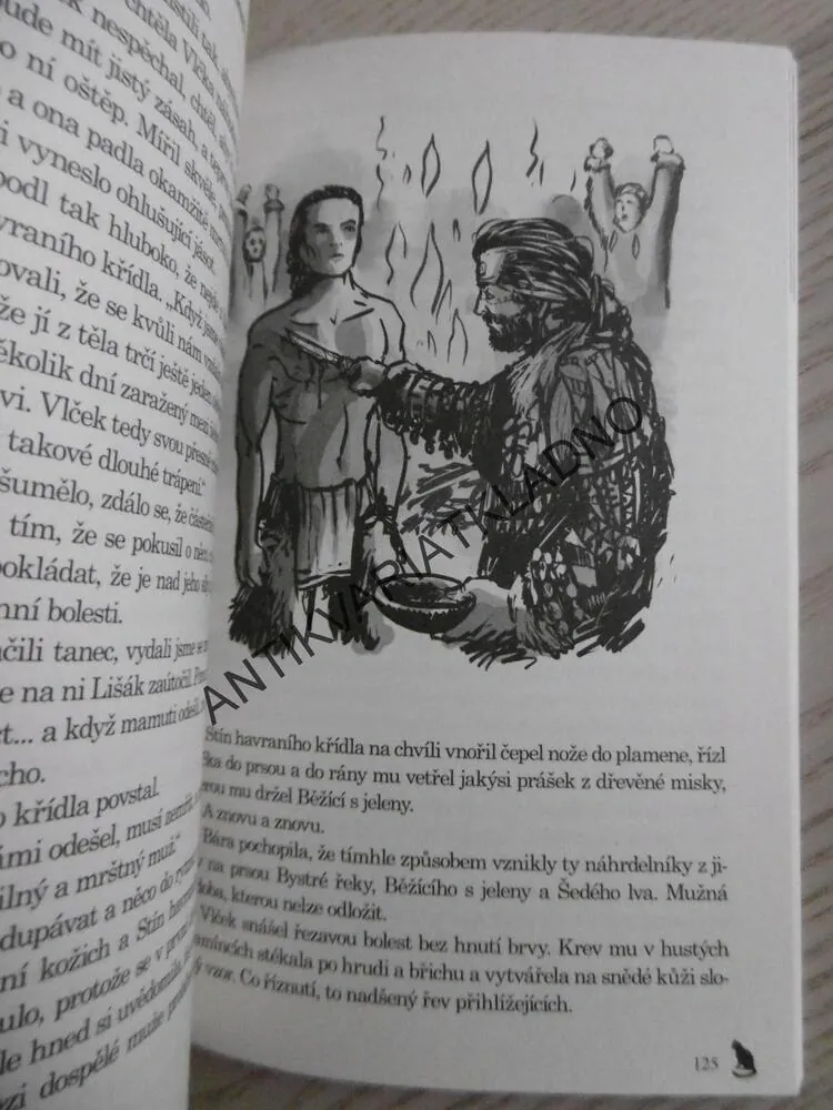 DOBA KAMENNÁ, POMSTA ŠEDÉHO LVA, VERONIKA VÁLKOVÁ, **an