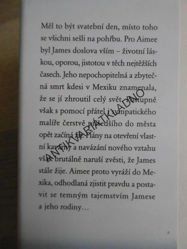 VŠECHNO, CO MÁME, KERRY LONSDALEOVÁ, **an