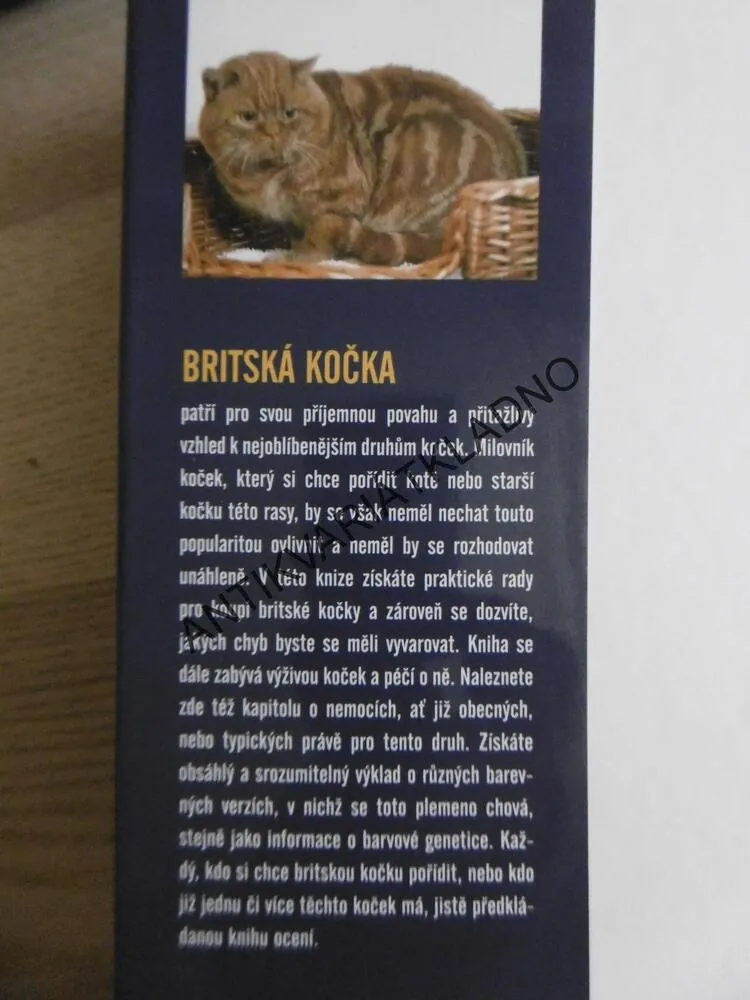 RÁDCE CHOVATELE, BRITSKÁ KOČKA, ESTER VERHOEF-VERHALLEN, **an